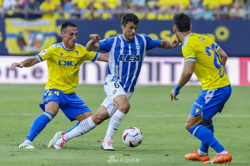 性价比高的 性价比高的